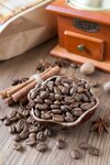 Gemma Coffee (Ternovskogo Street, 220к4) ، متجر قهوة