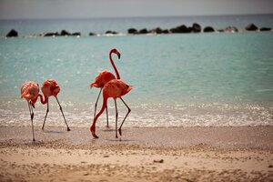 Гостиница Renaissance Wind Creek Aruba Resort