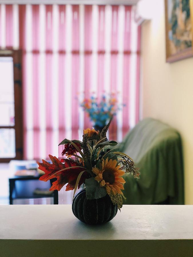 Фото Альянс