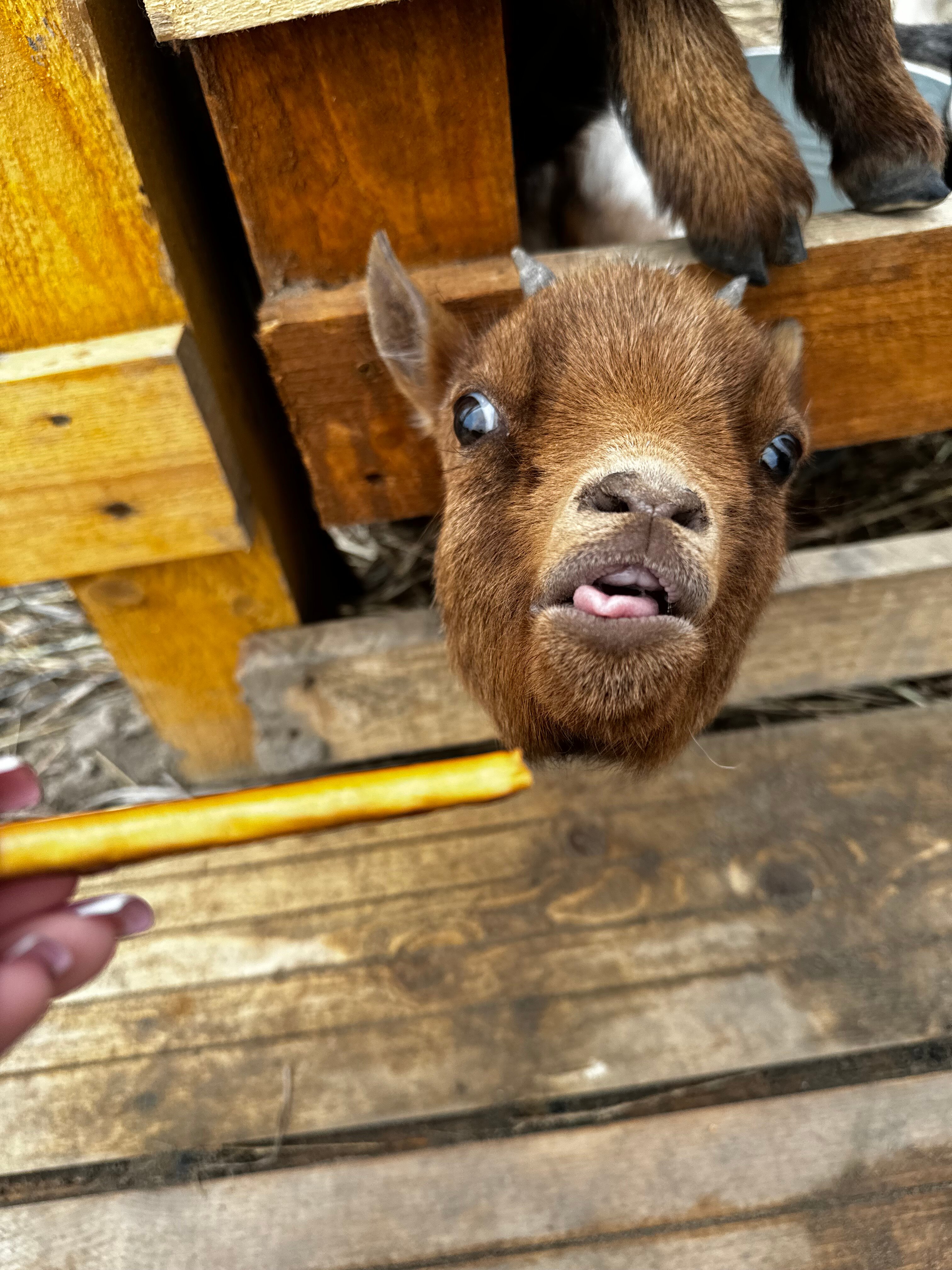 Фото БлагоДача