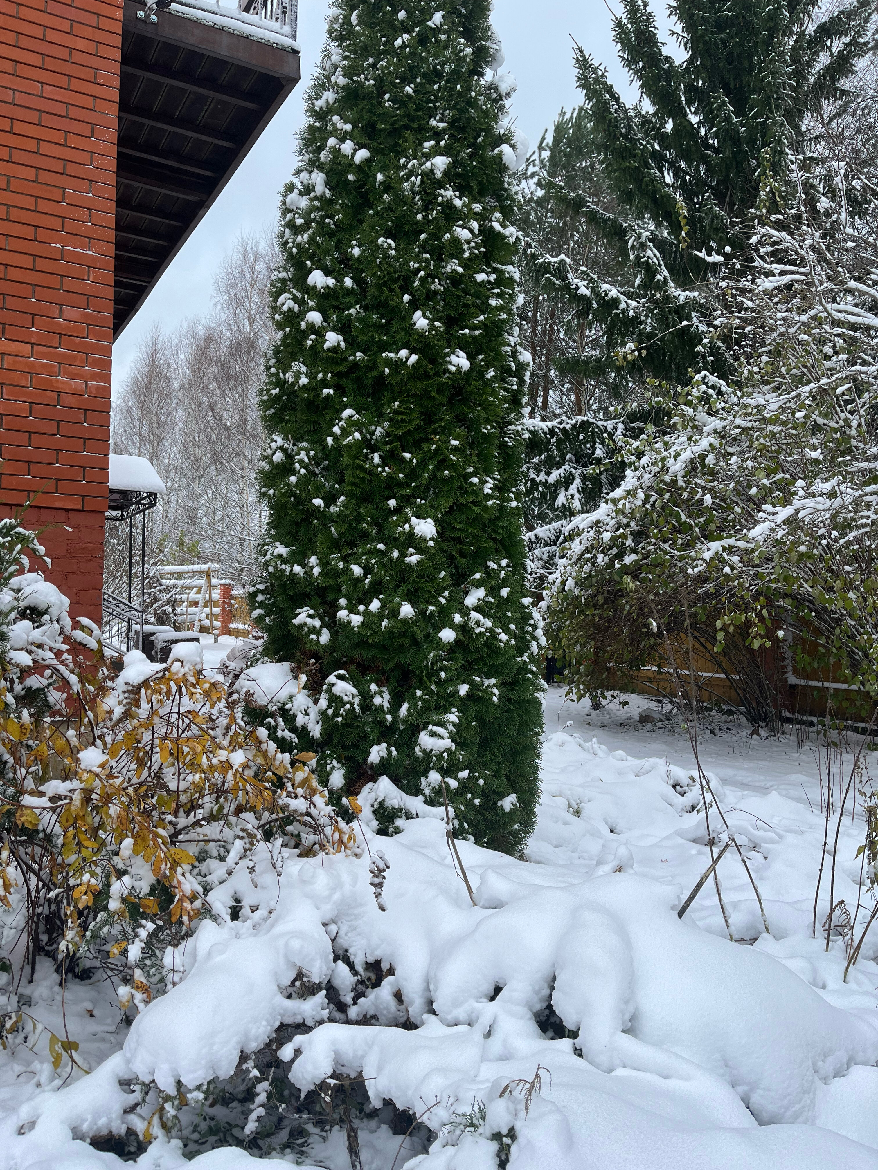 Фото Novlyanskoe Village