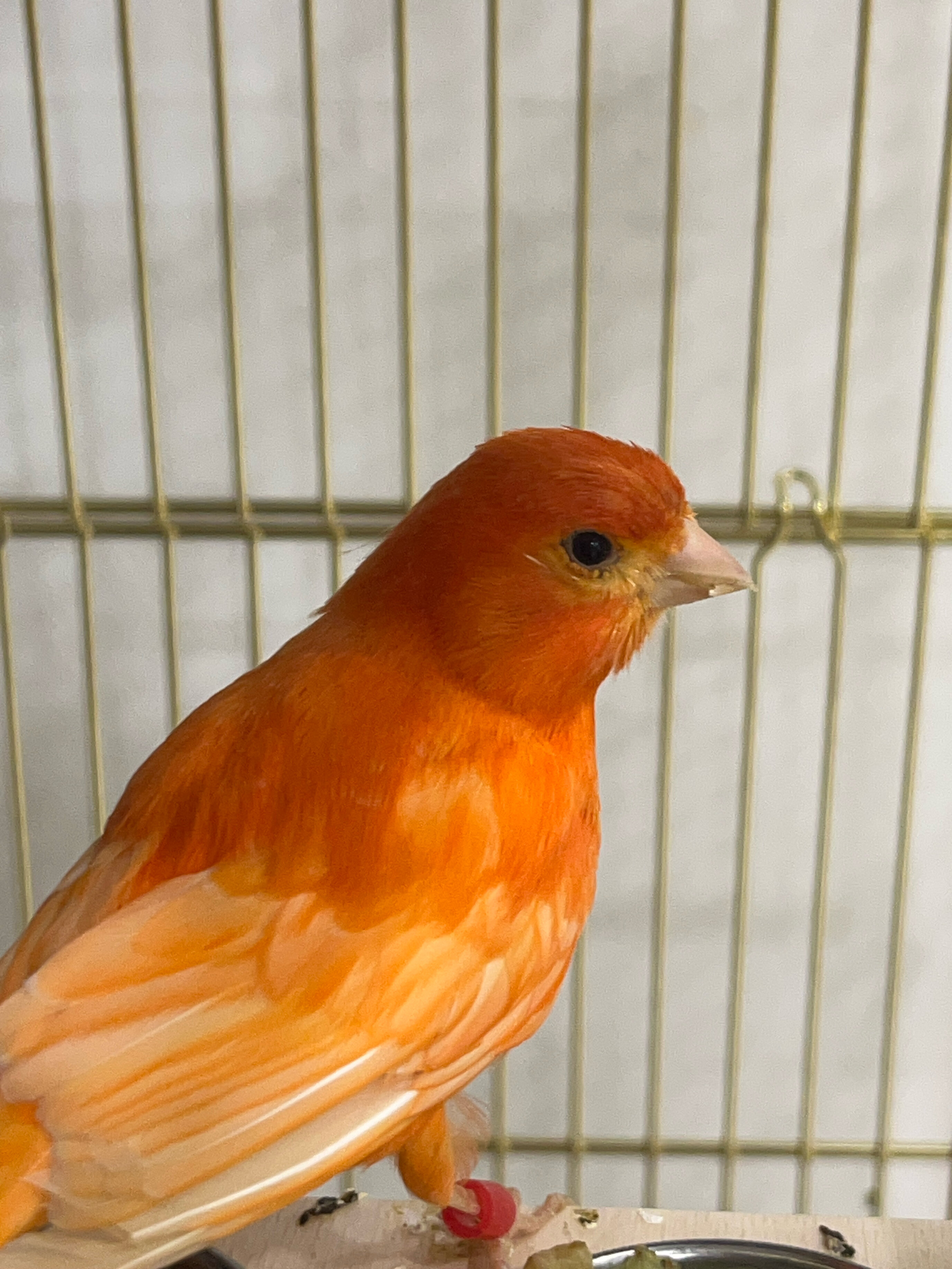 Фото Морская школа