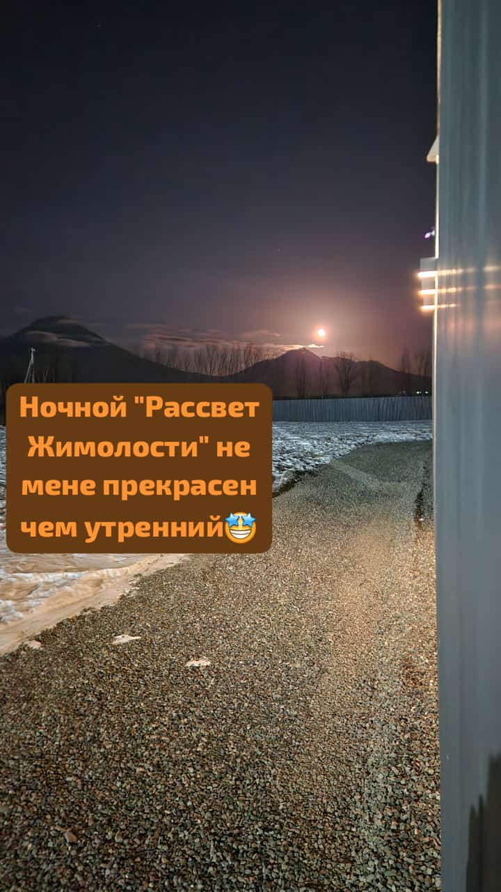 Фото Жимолость