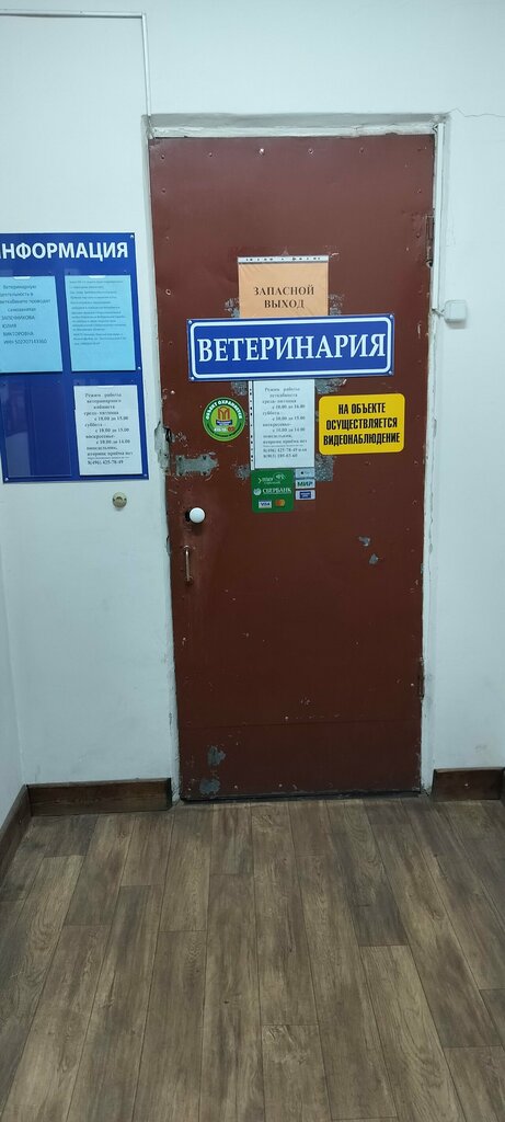 Veterinary clinic Predprinimatel Zapechnikov A.A. Veterinarnaya klinika g. Orekhovo-Zuyevo, Orehovo‑Zuevo, photo