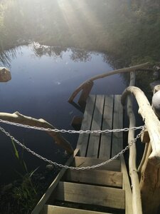 Домик лесника