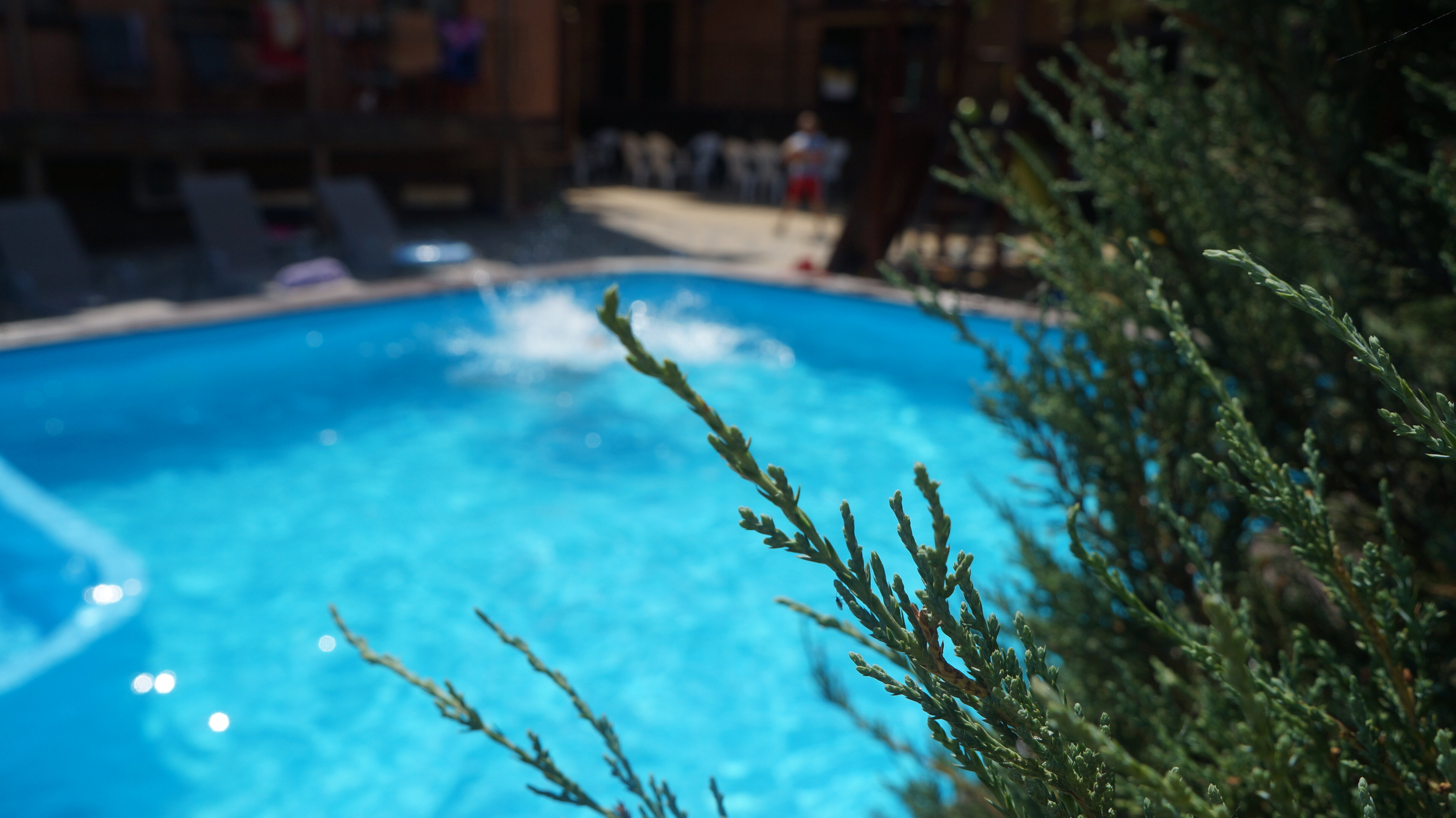 Фото Золотые Пески