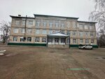Shkola № 15 (ulitsa Chapayeva, 161А), school