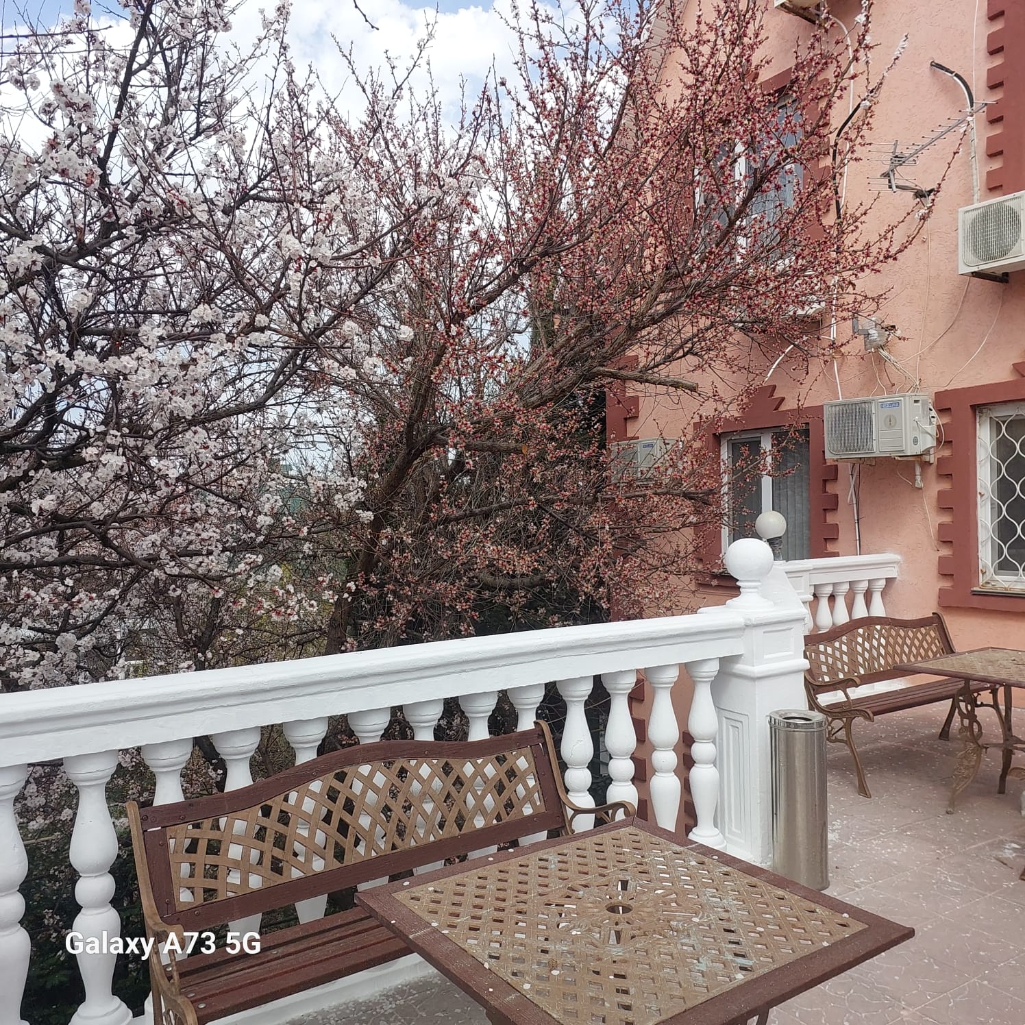 Фото Солнечный бриз