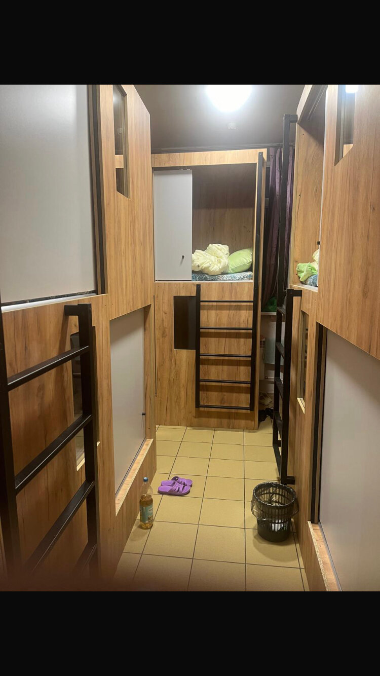 Фото Вежливый Лось Home Boxes