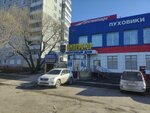 Кактус (4-ya Transportnaya ulitsa, 40А), tailor