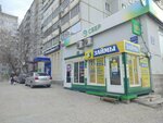 СДП Групп (Borisa Bogatkova Street, 208/1), microfinance institution