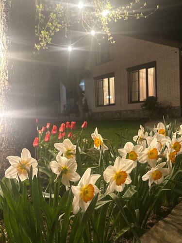 Дом в аренду Эдем в Республике Северная Осетия — Алания