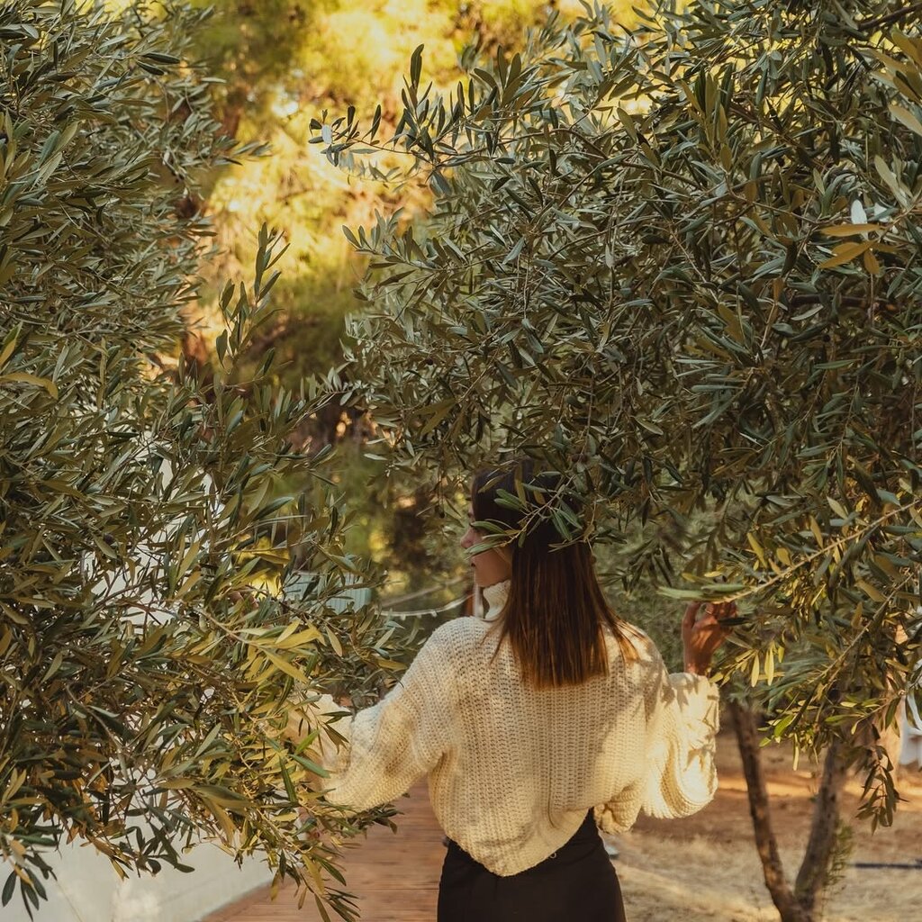 Industrial enterprise Meskenest, Seferihisar, photo