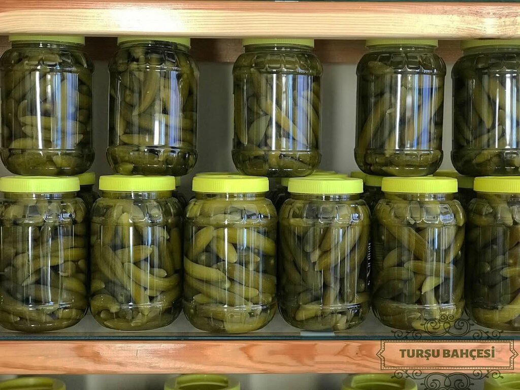 Management company Pickle Garden, Adapazari, photo