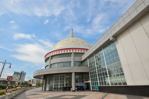 Гостиница The Brunei Hotel