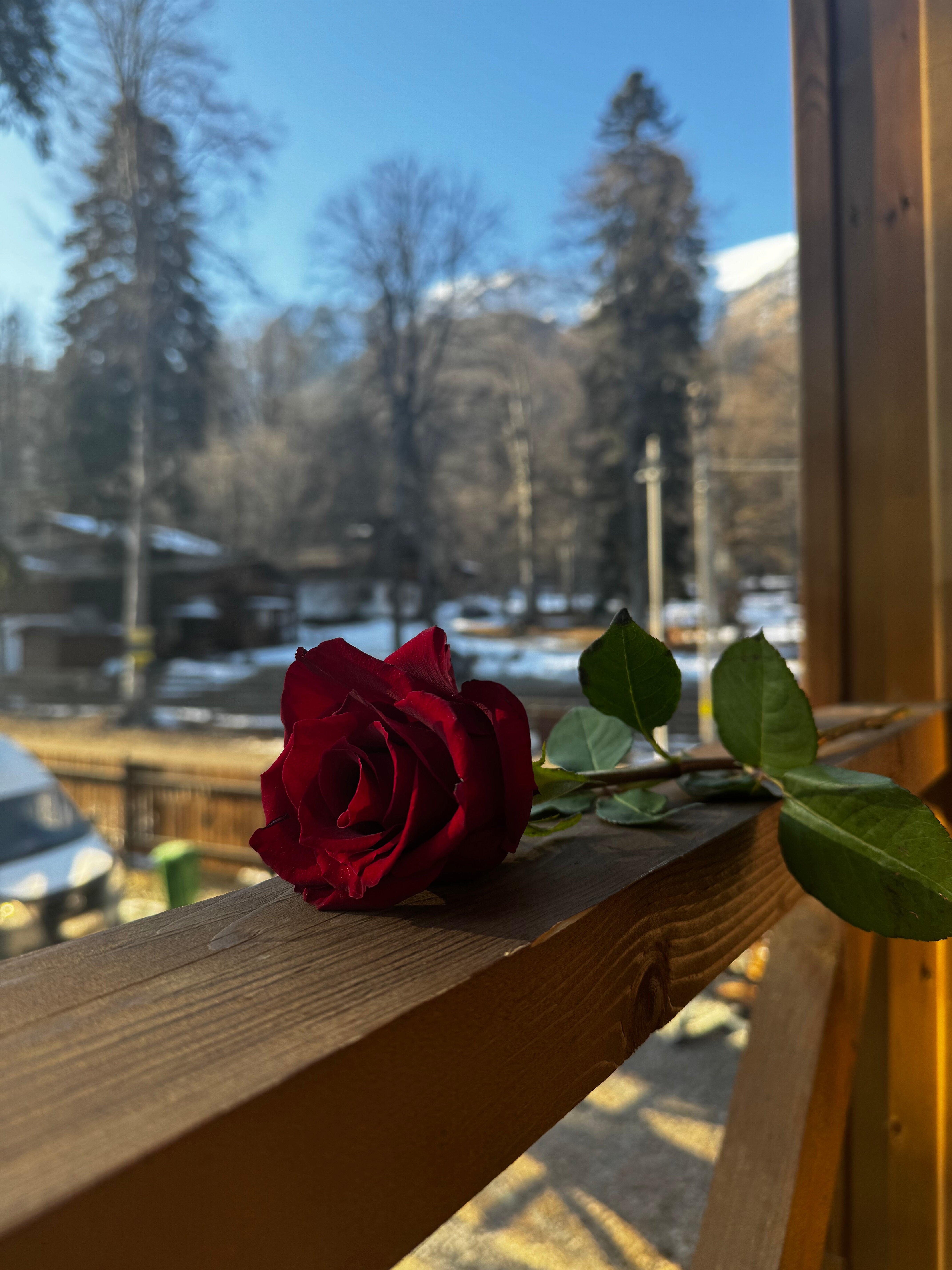 Фото Смол хит