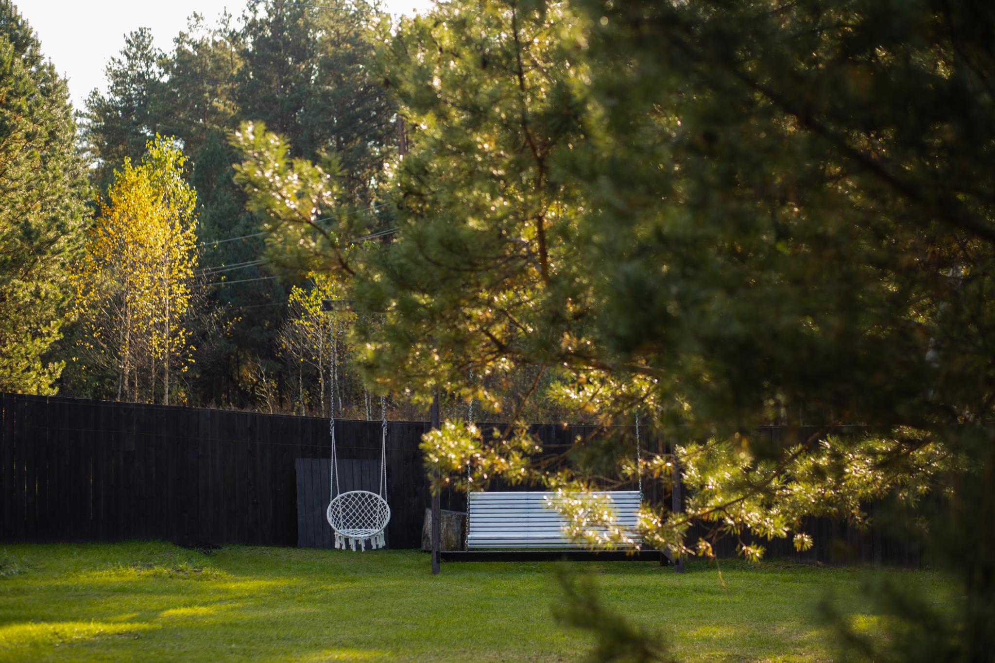 Фото Сосновый рай