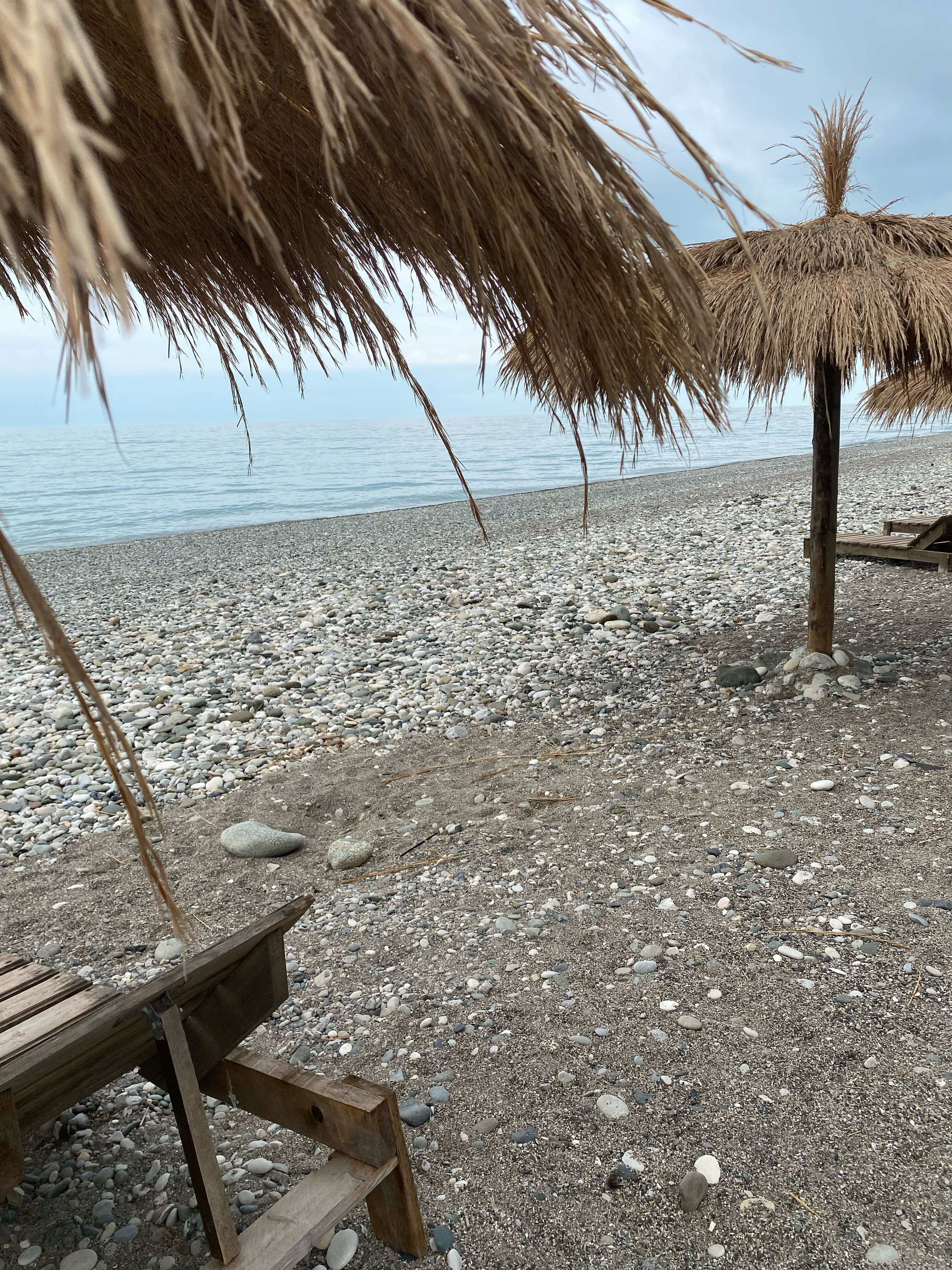 Фото Цитрус 1