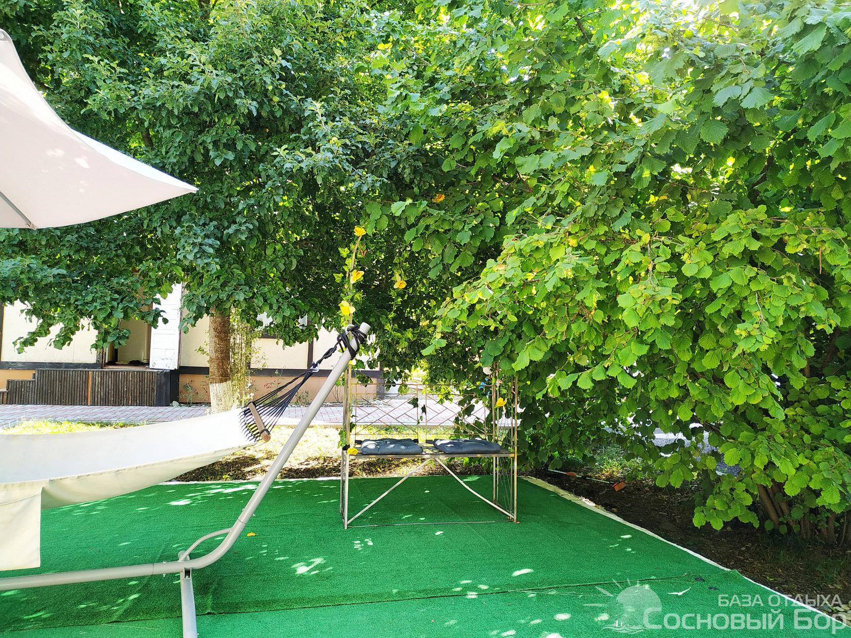 Фото Сосновый Бор