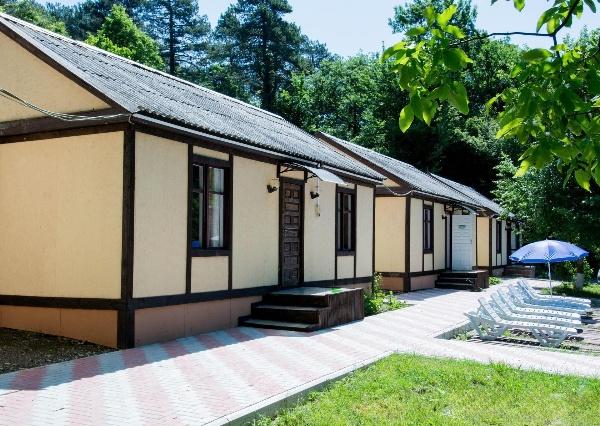 Фото Сосновый Бор