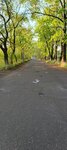 Военная часть (Omsk, posyolok Stepnoy, ulitsa 40 let Raketnykh Voysk, 22) ، توقف وسائل النقل العام