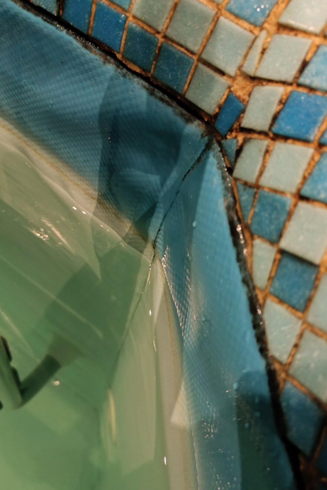 Фото Рябинка