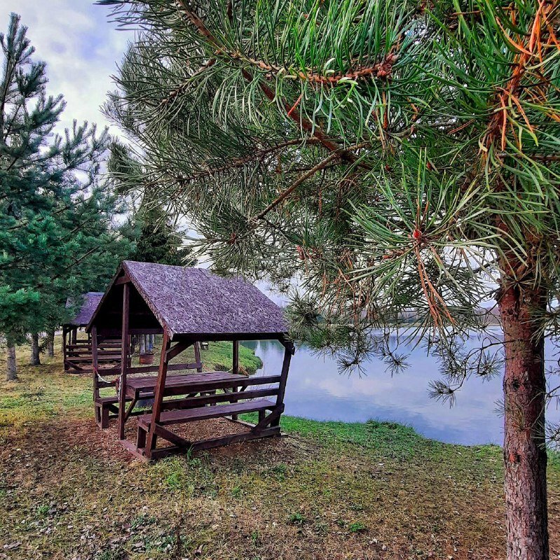 Фото Дом-шале в Сорочанах