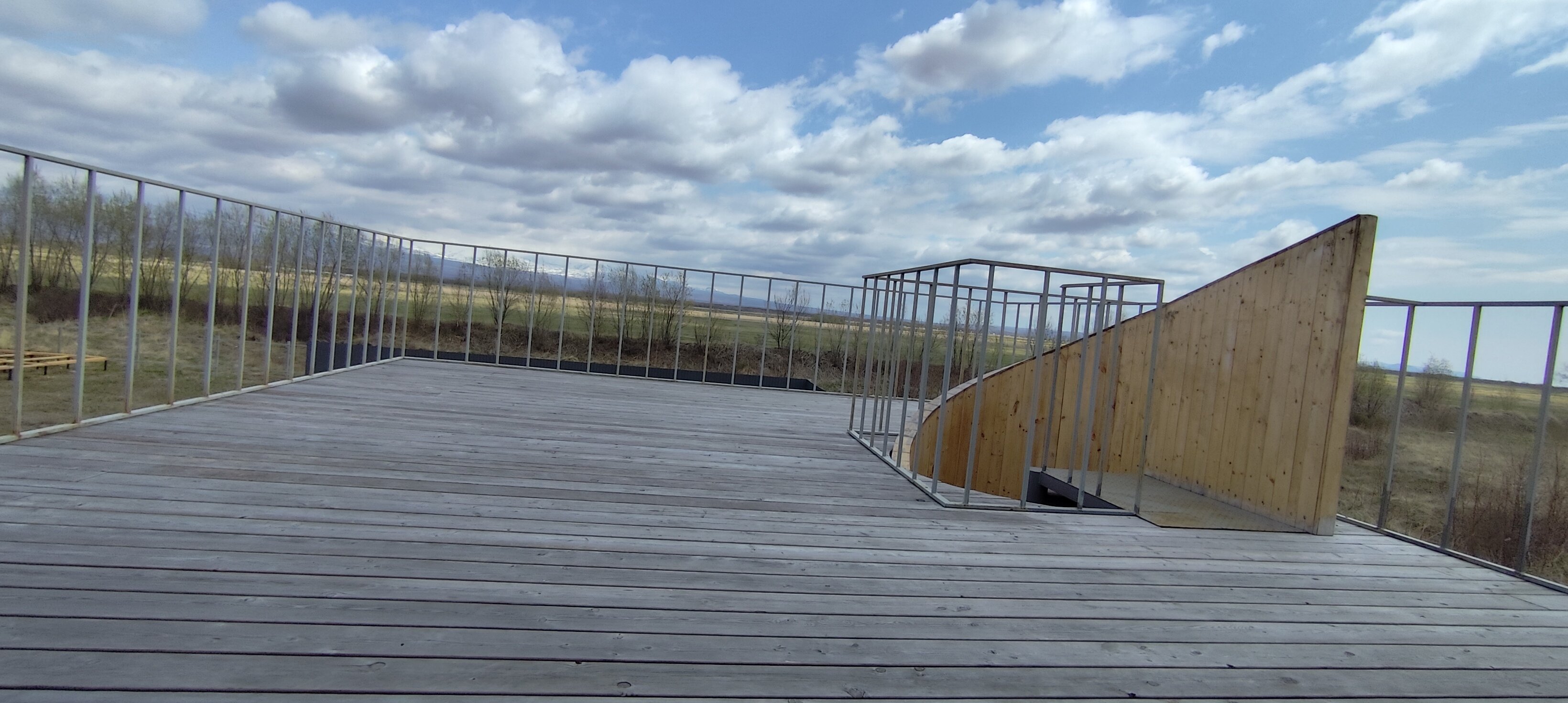 Фото Жимолость