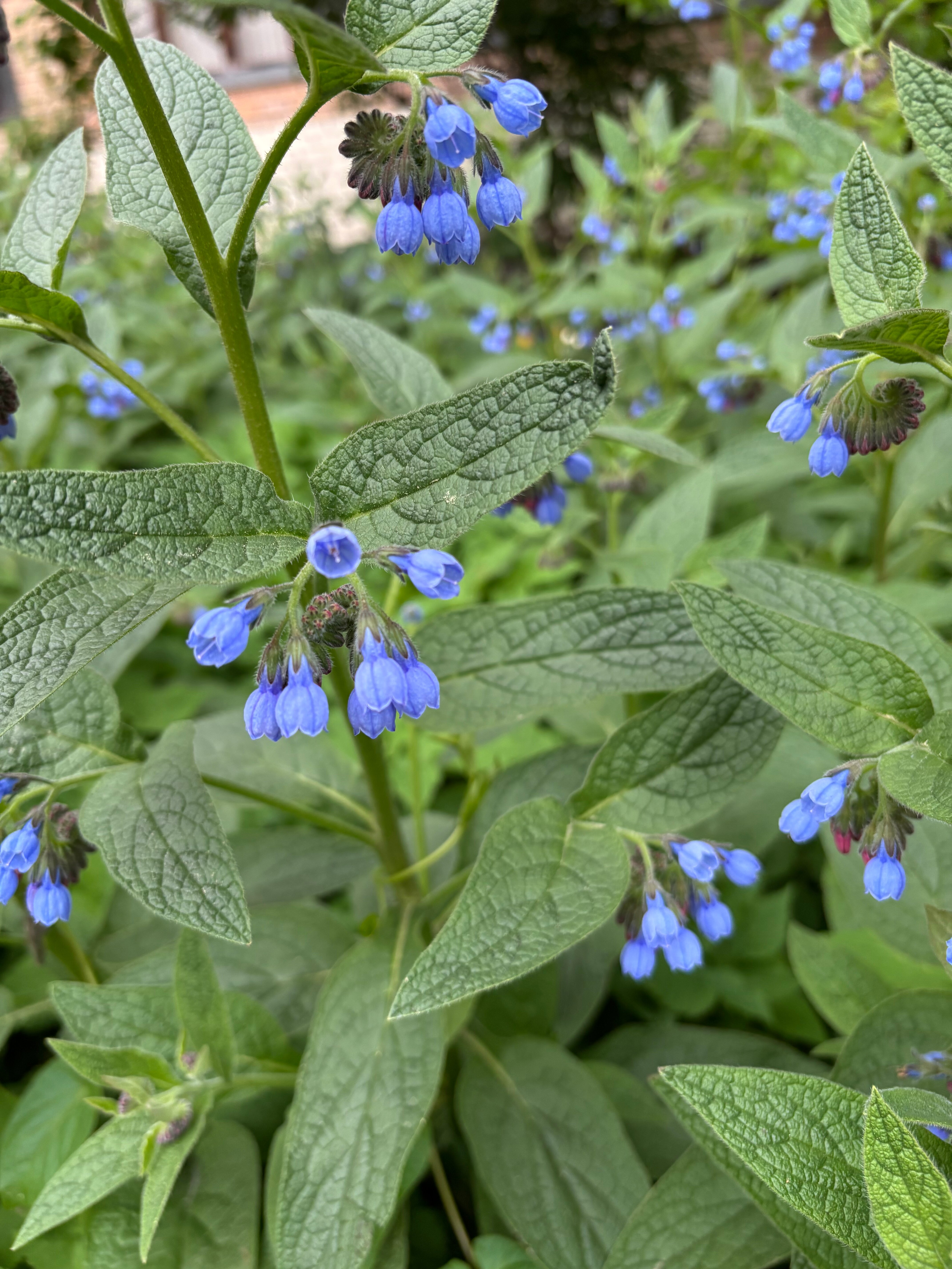 Фото Royal Star Empire Beach Resort