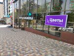 Лаванда (Stavropol, Lenina Street, 242), flower shop