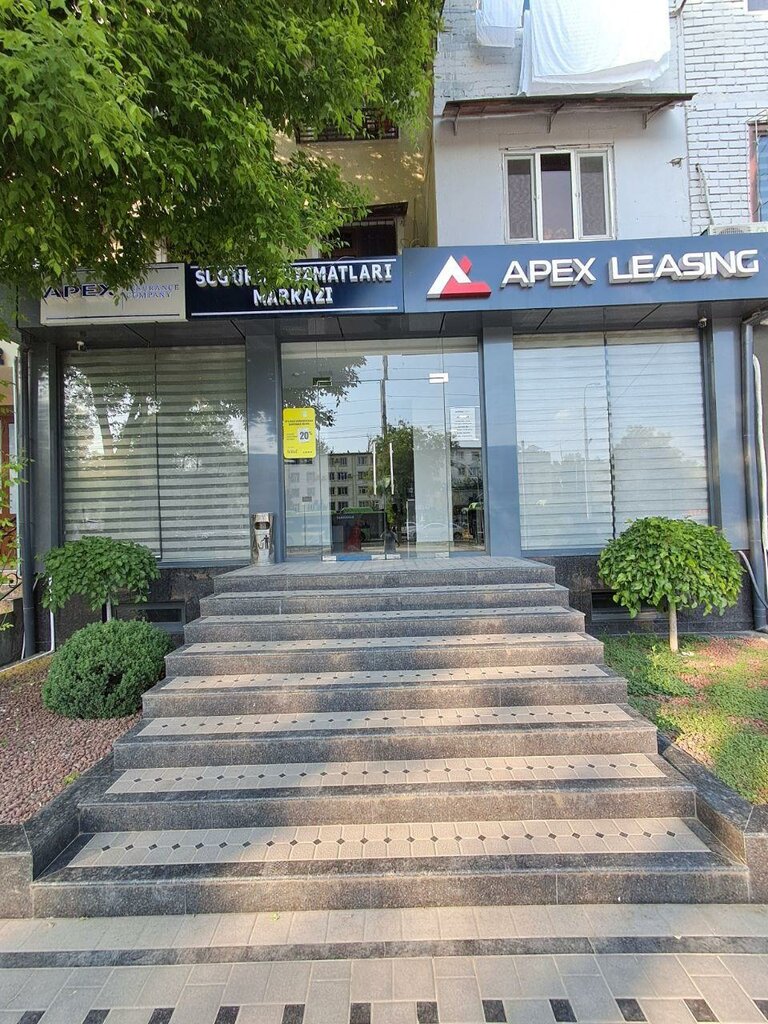 Insurance company Apex Insurance, Tashkent, photo
