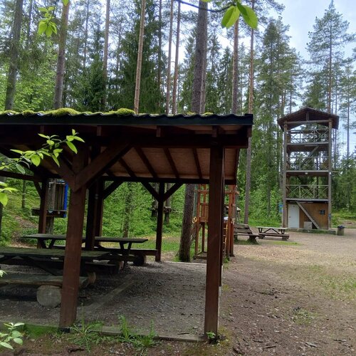  Верёвочный парк Ильичёво в Ильичеве