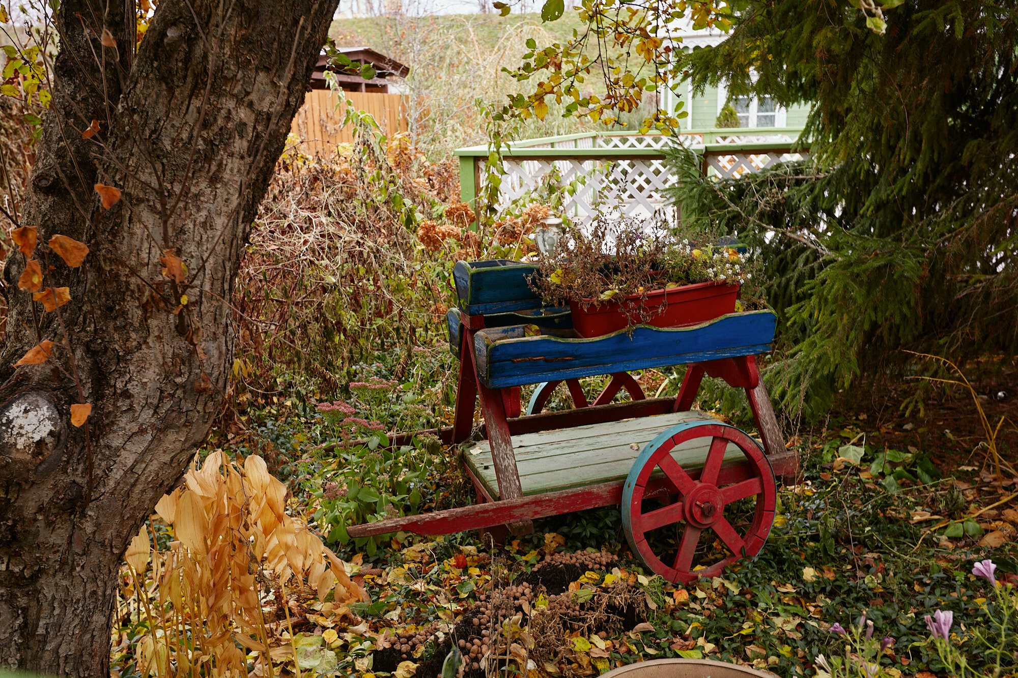 Фото Генеральская Дача