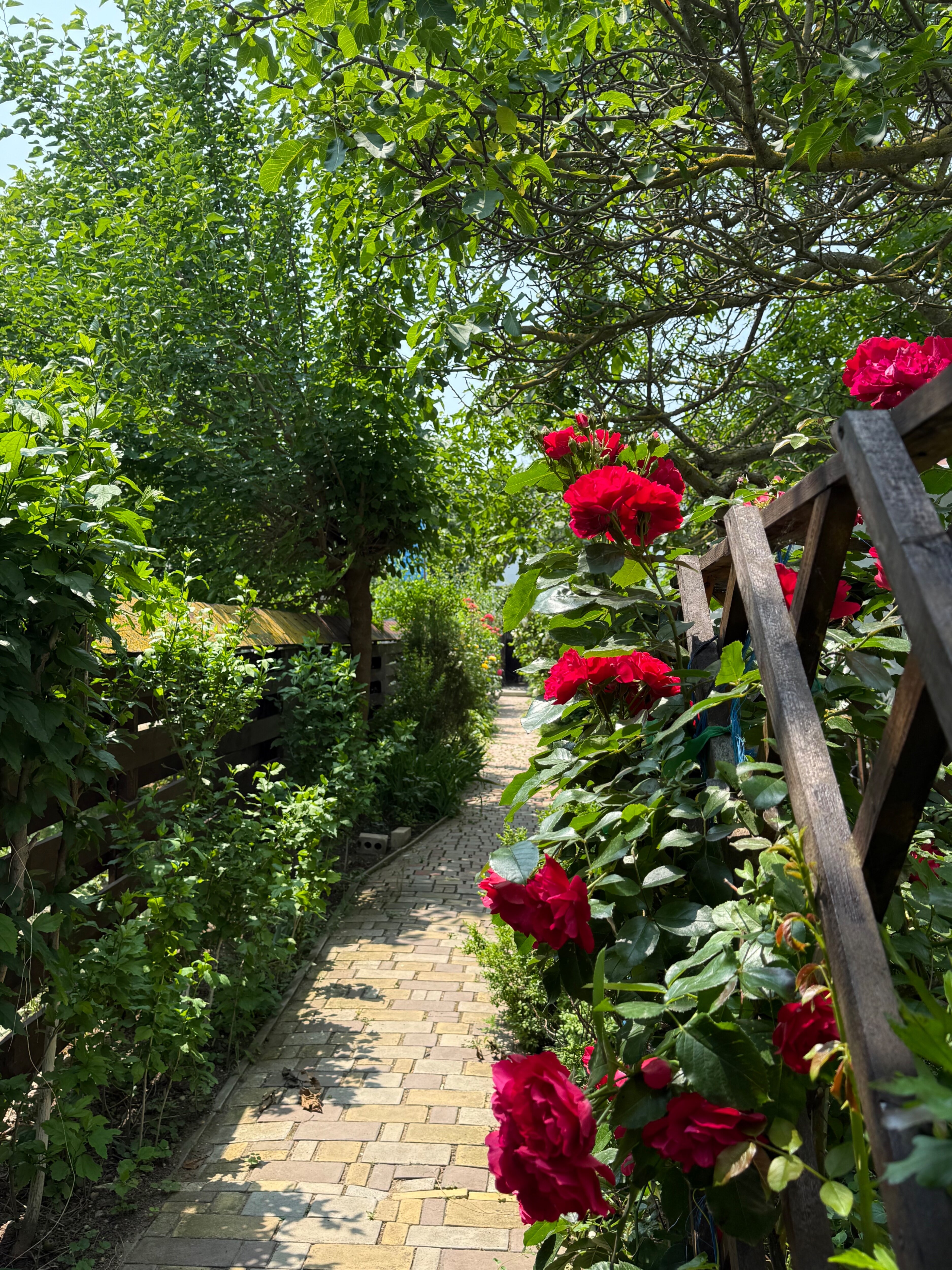 Фото Green House