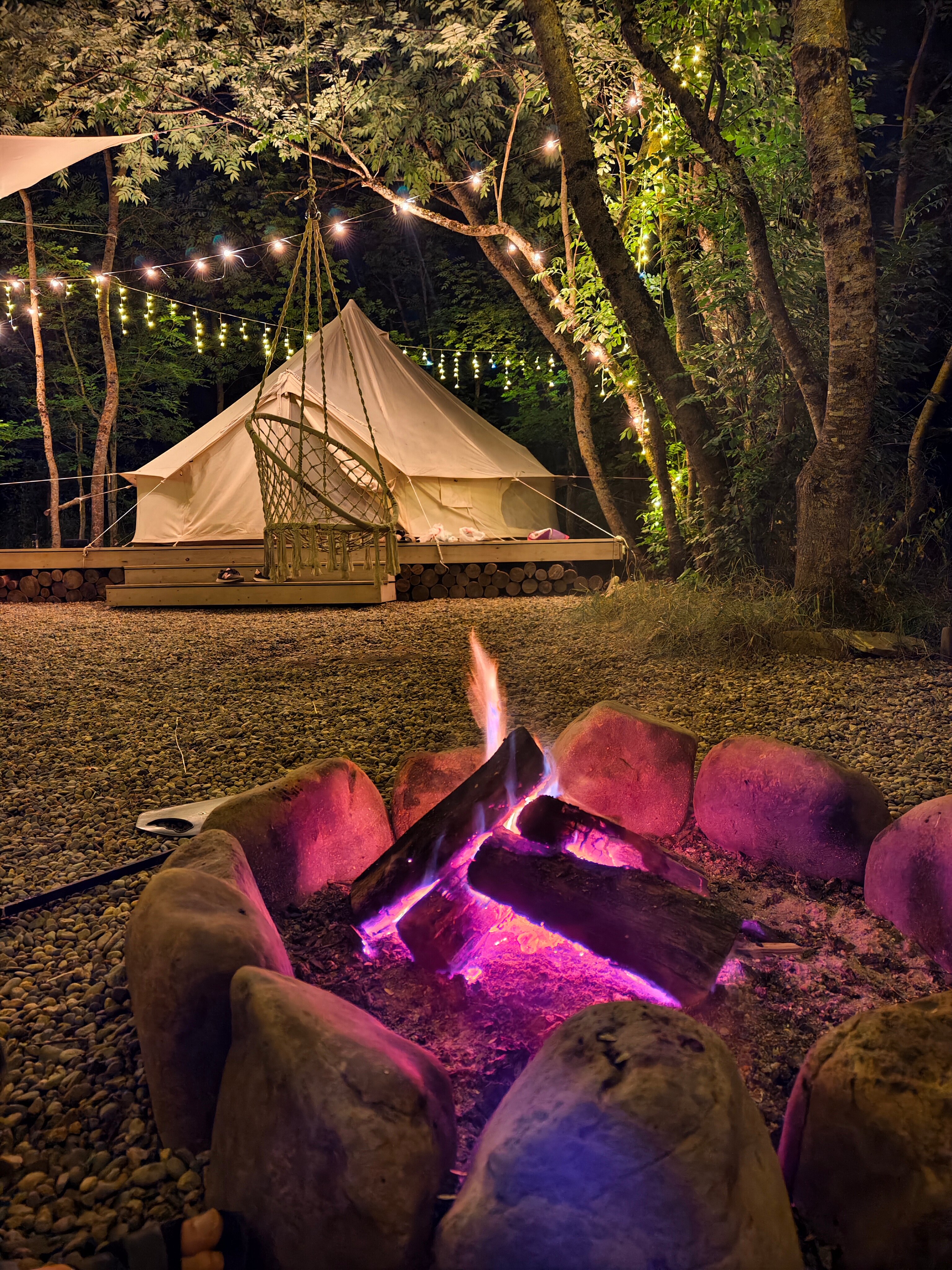 Фото Тихий Лес