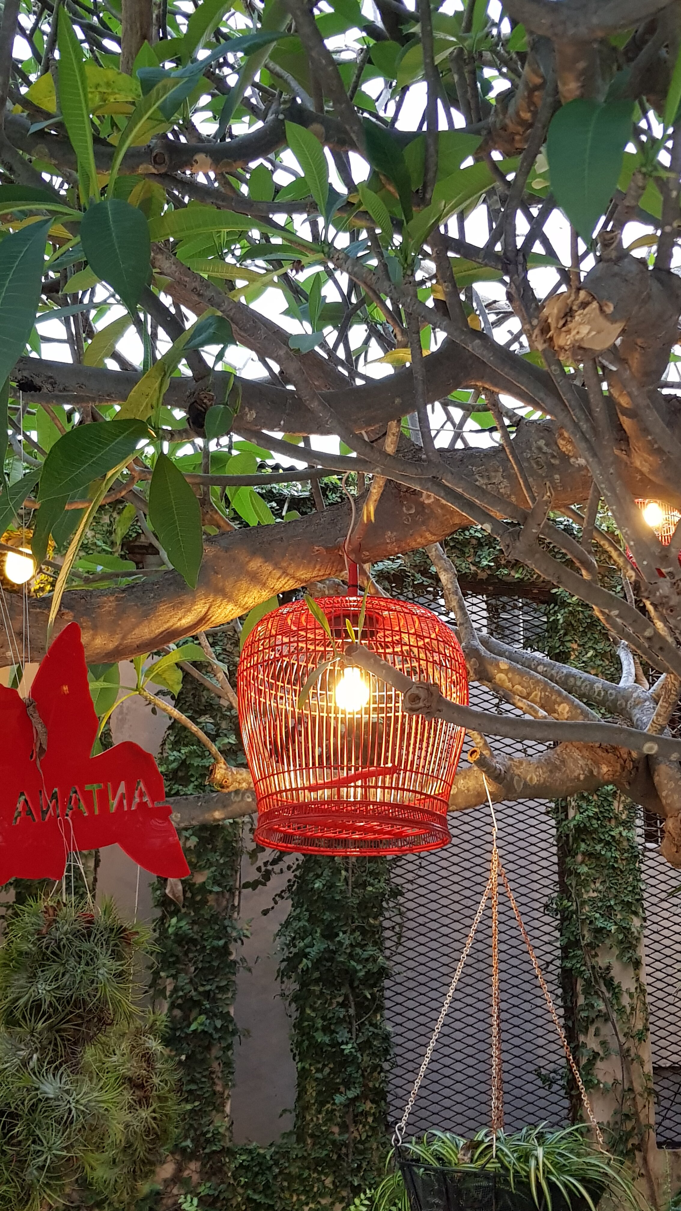 Фото Lantana Pattaya Hotel & Resort