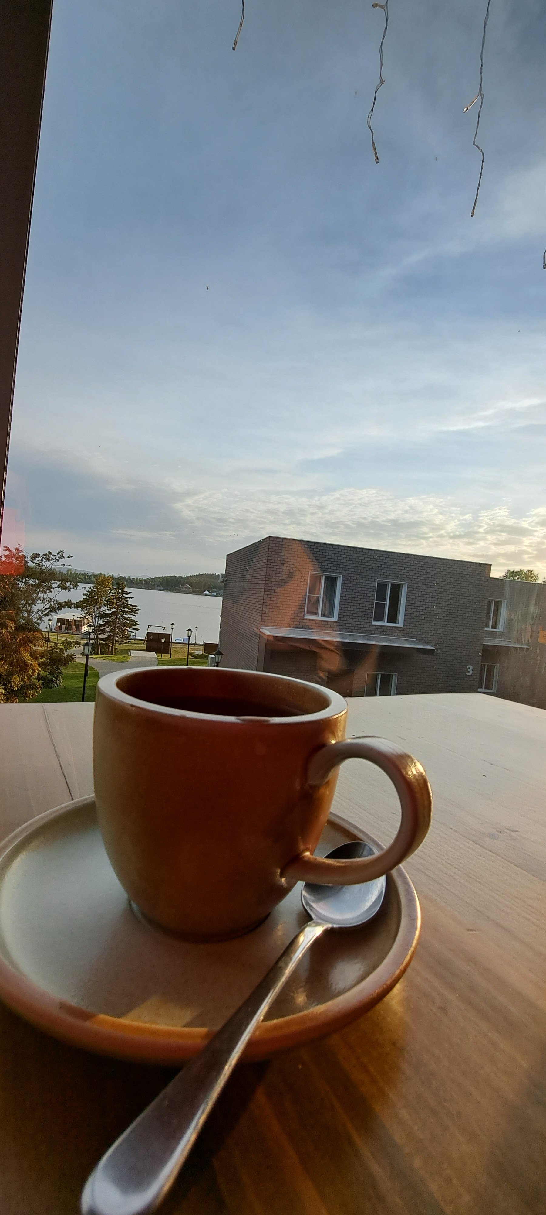 Фото Парк отель Паллада