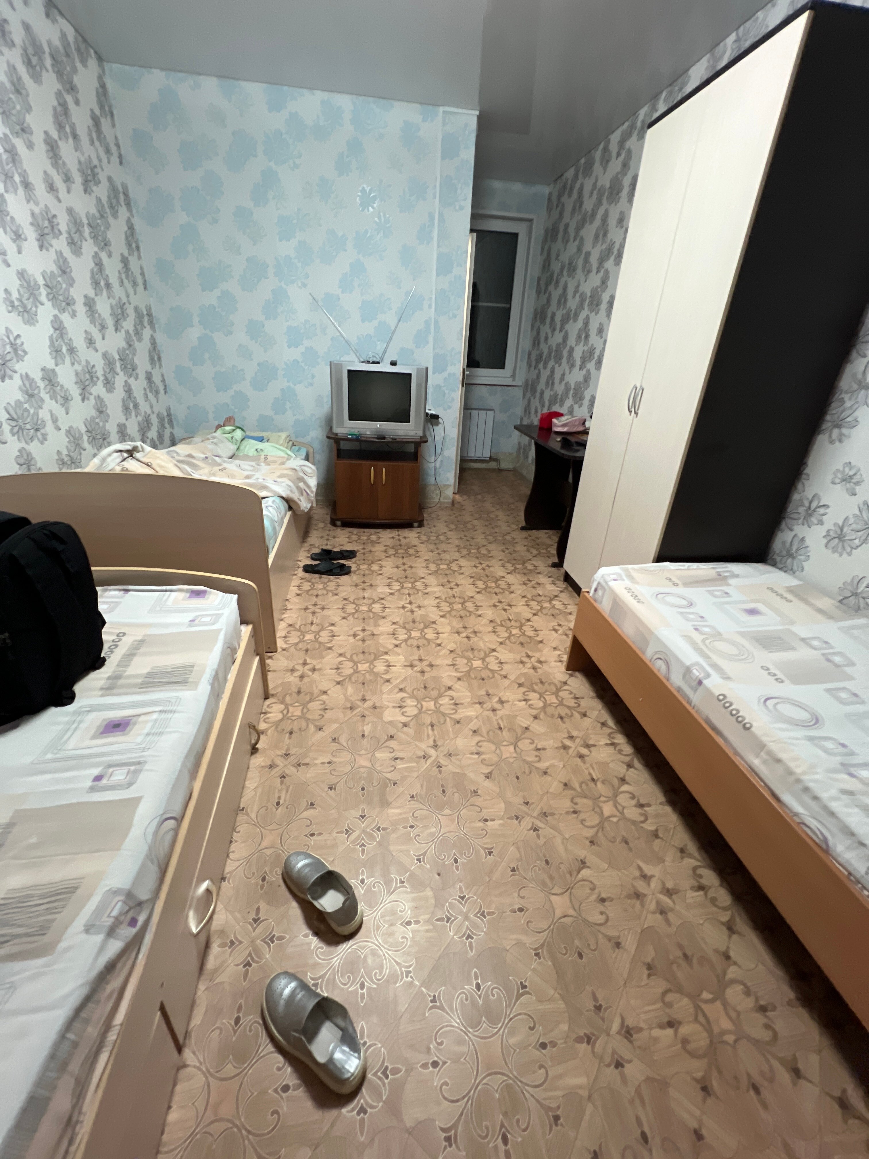 Фото Дикая Вишня