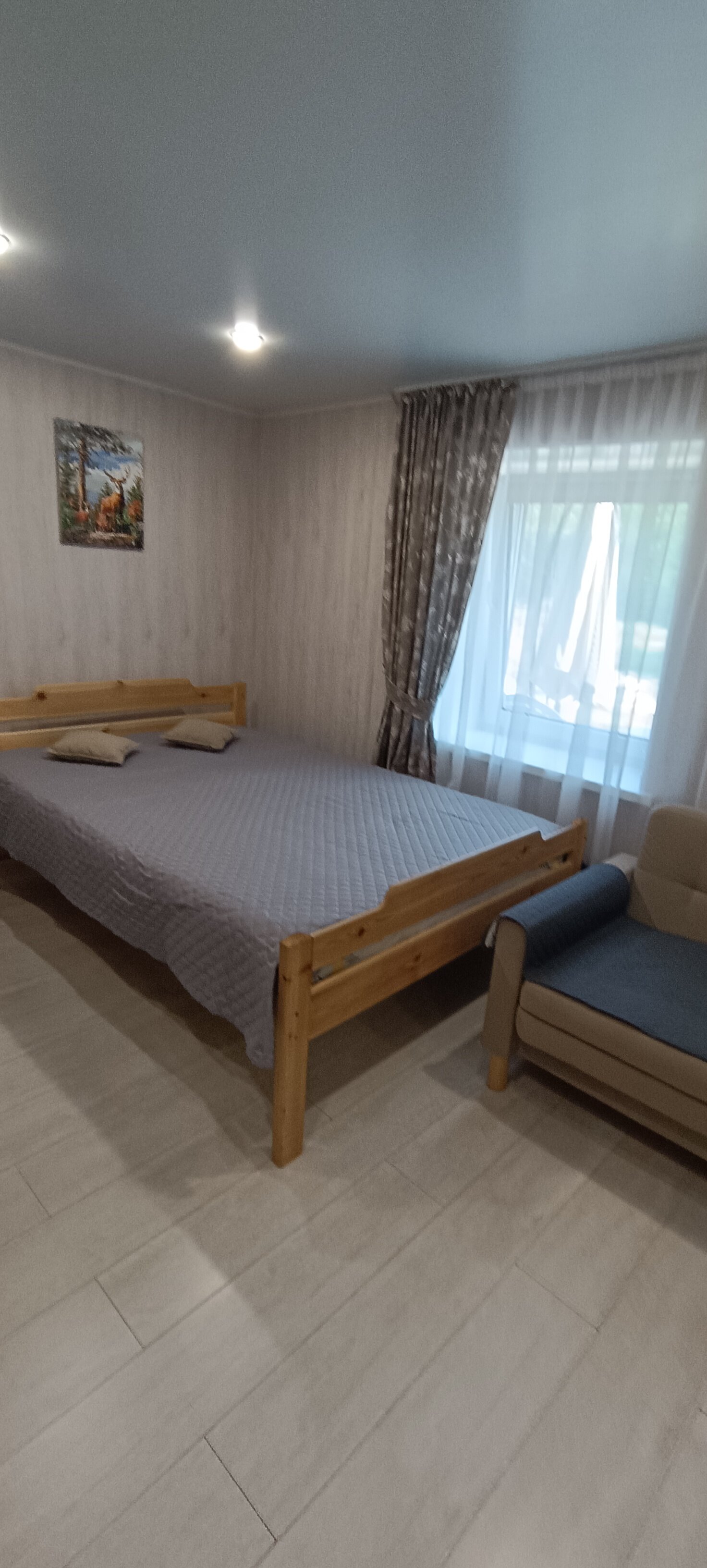 Фото Пихта рядом
