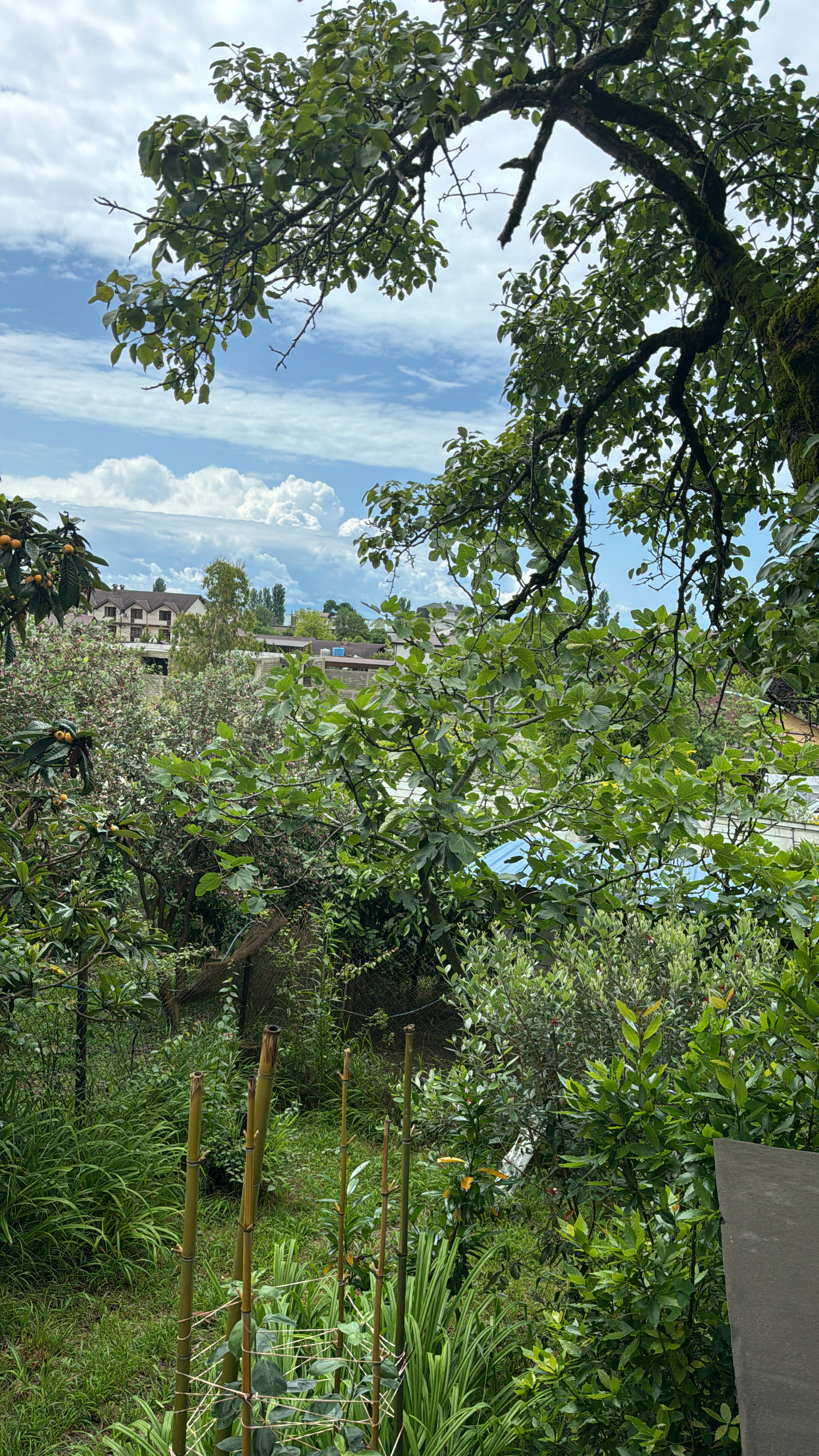 Фото Дом для отдыха на Лапстинской