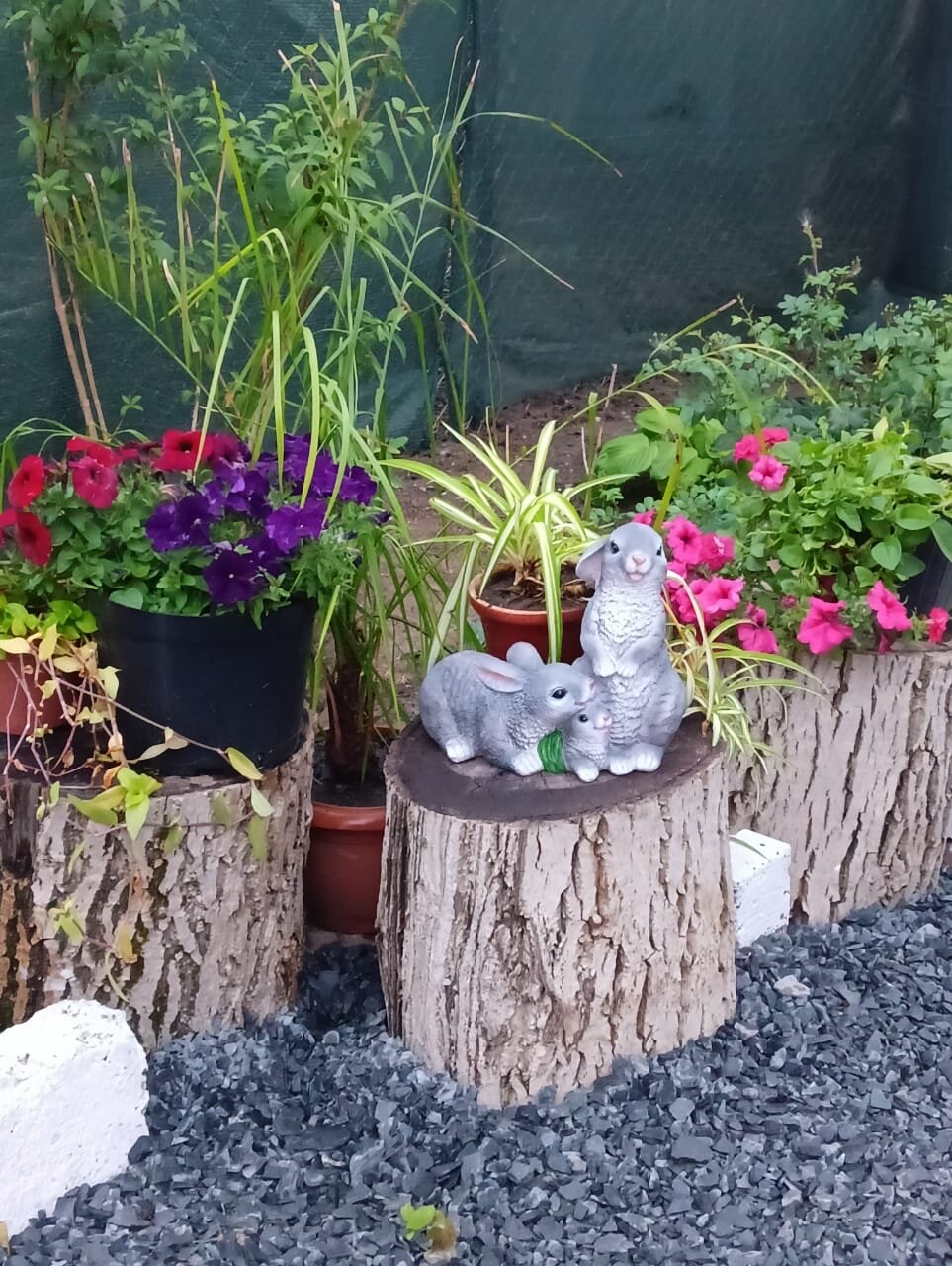 Фото Надежда