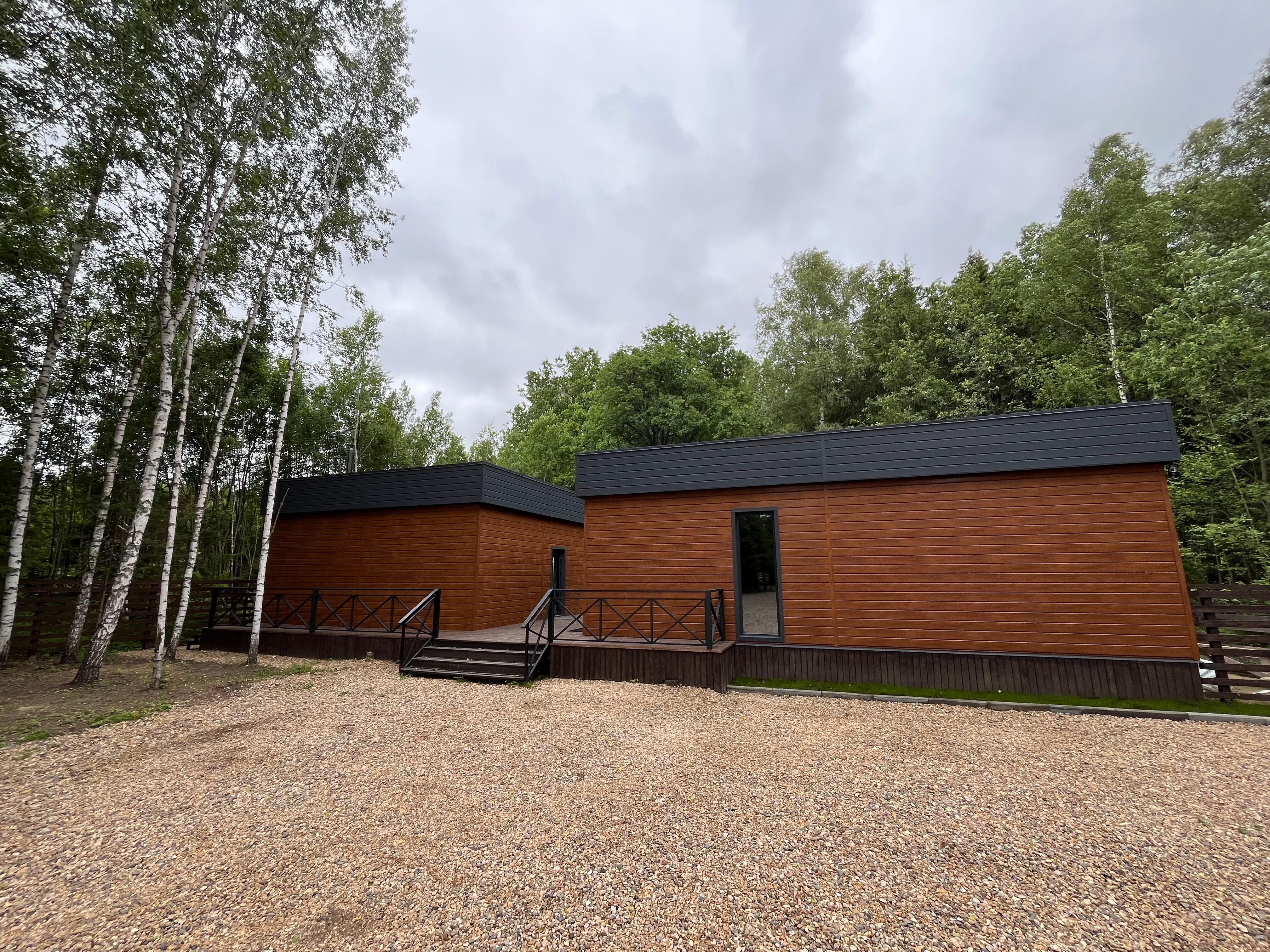 Фото Старый дуб