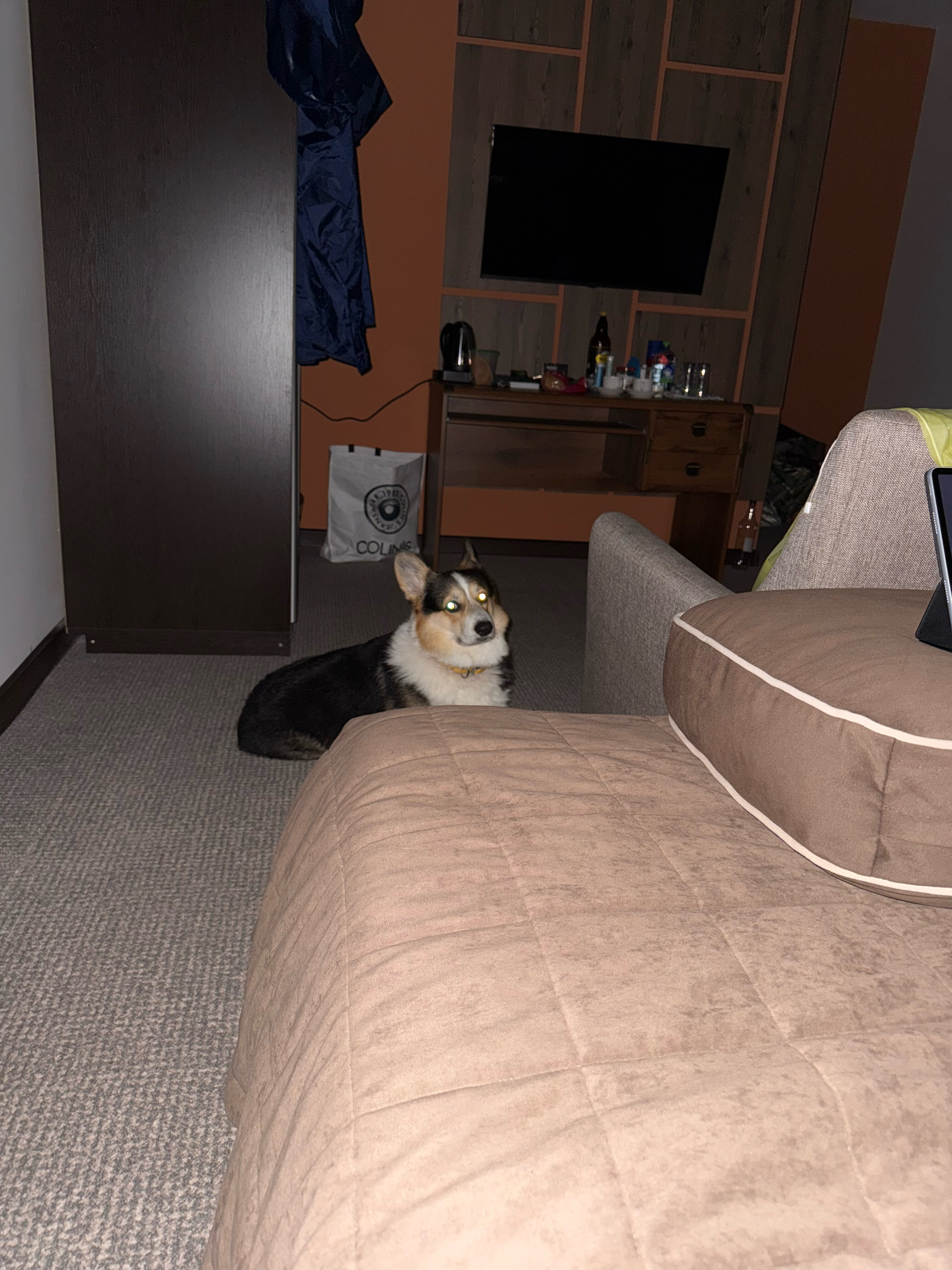 Фото HollidayInnPskov