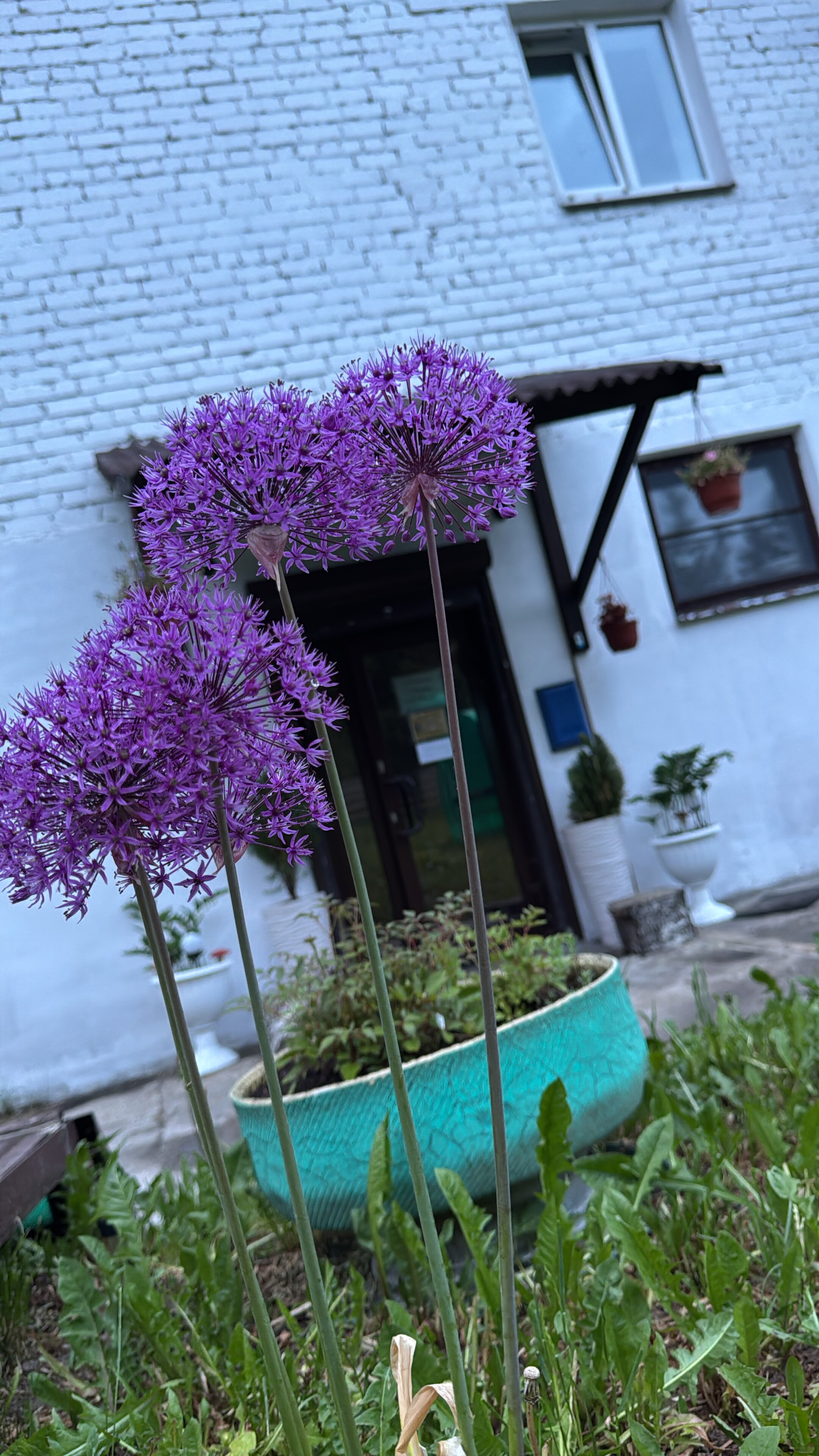 Фото Галерея Левитан