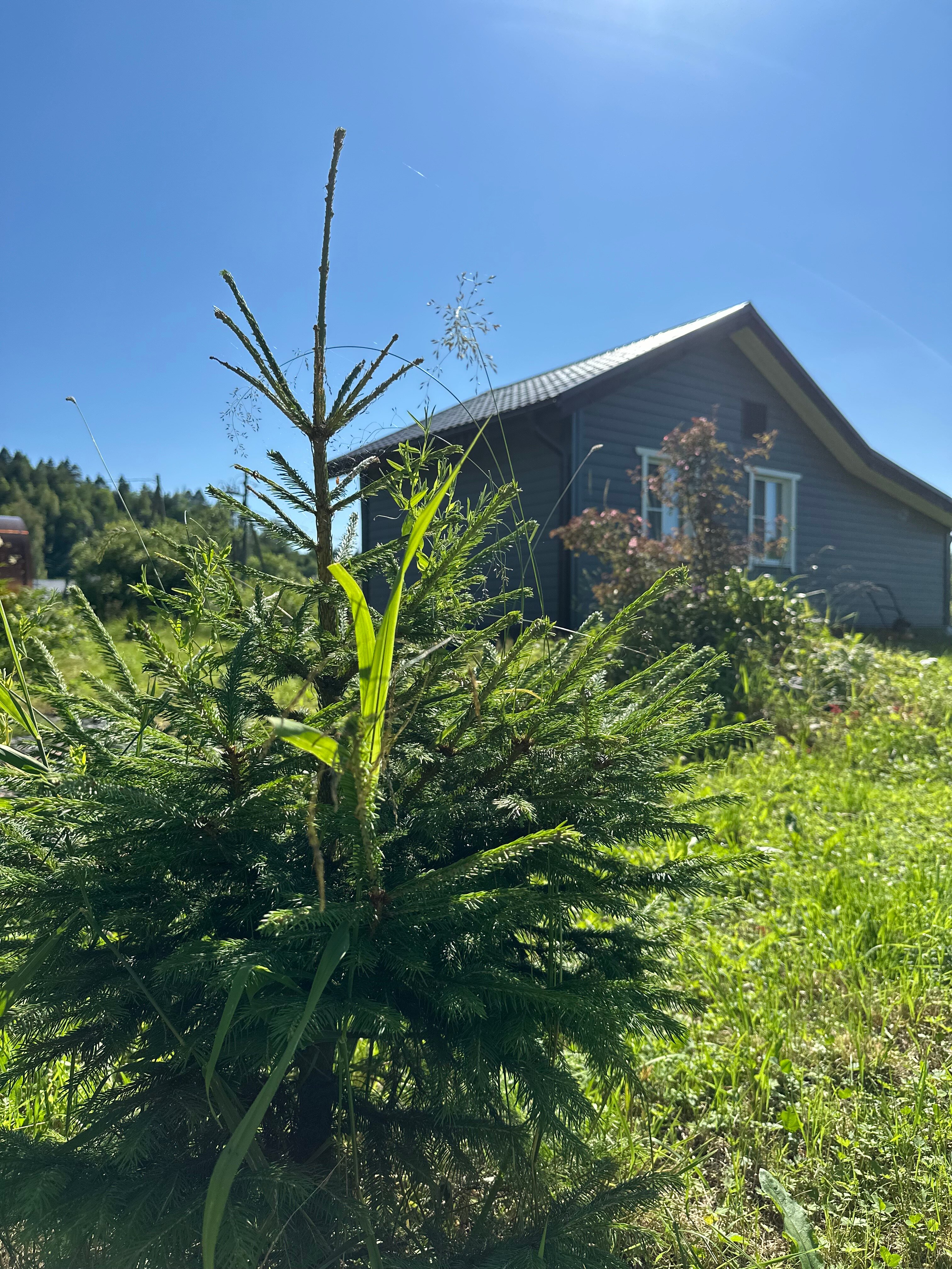 Фото Karjalan Talo