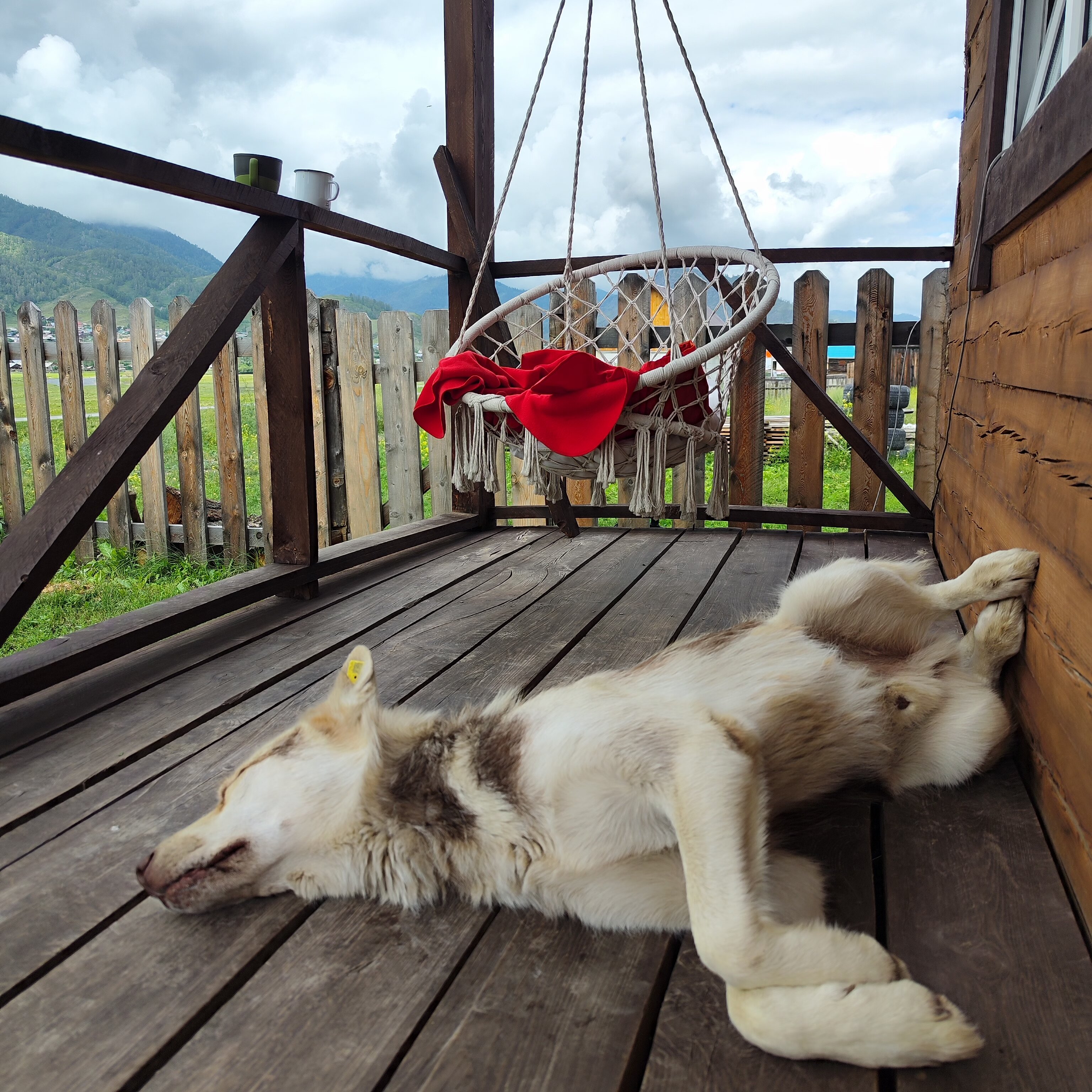 Фото отеля 2