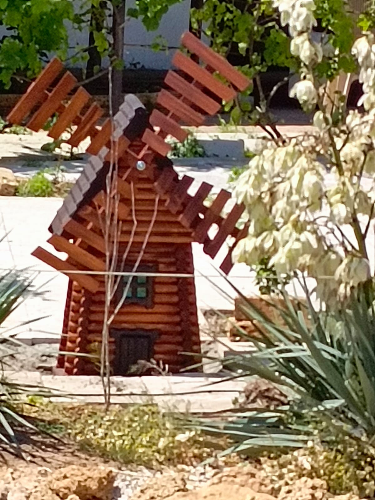 Фото Солнечный Бриз