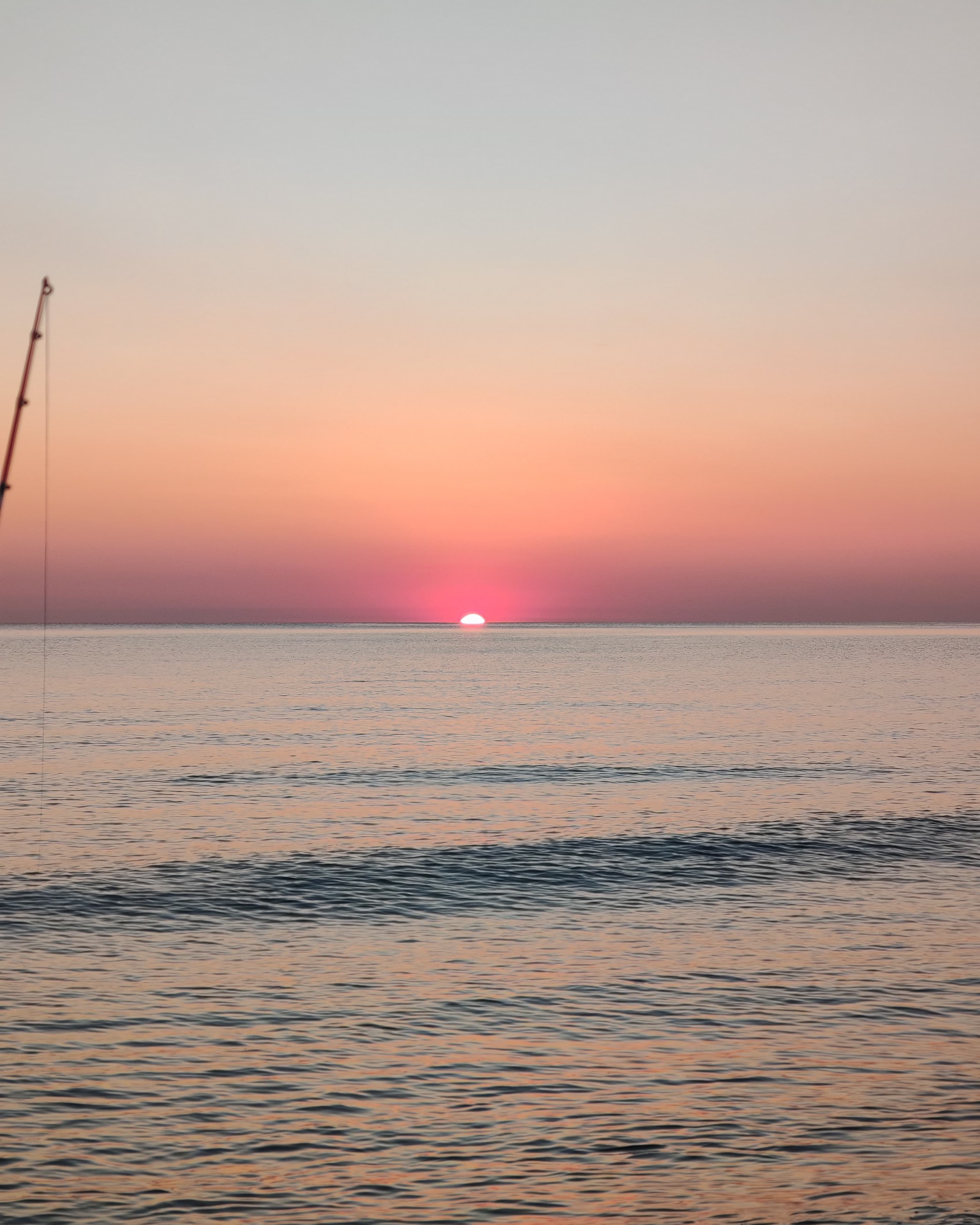 Фото Сафари