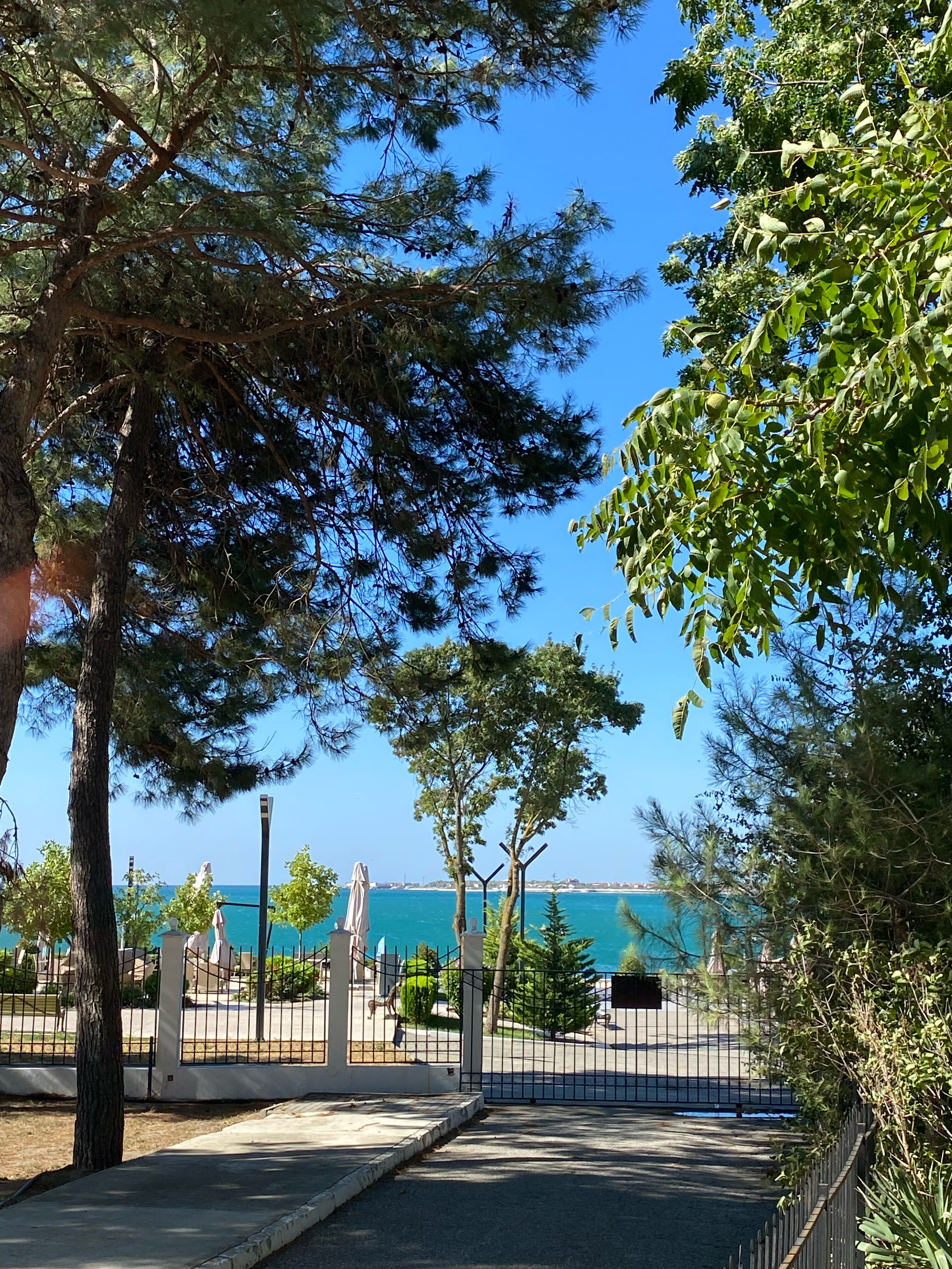 Фото Ривьера