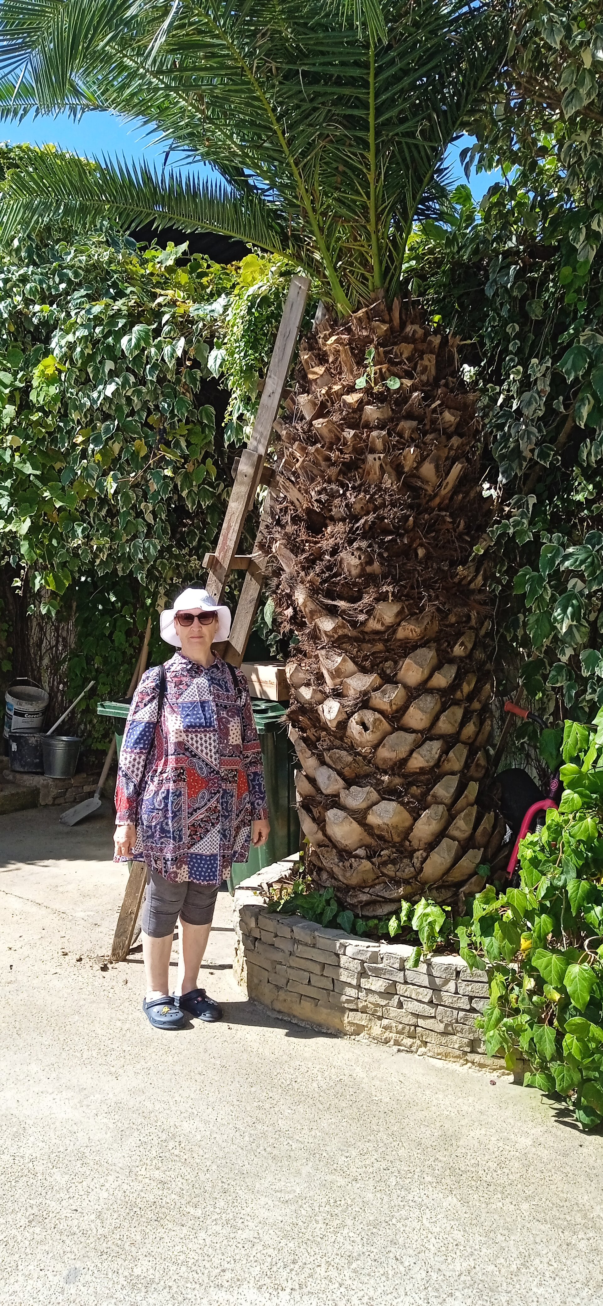 Фото Даниель